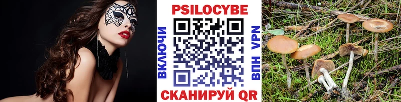 купить   Чкаловск  Псилоцибиновые грибы Magic Shrooms 